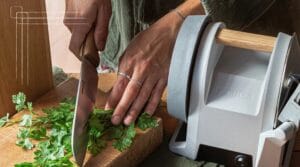 sähköinen veitsenteroitin