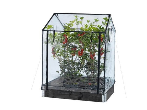 HORTUS Kasvihuone lavakaulukselle korkea